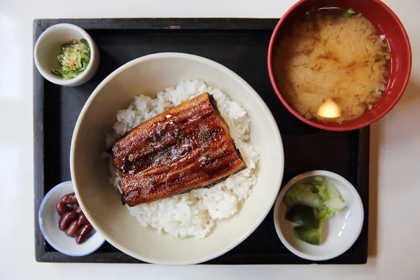 うなぎドン、焼きうなぎめし、日本食 — ストック写真