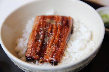 Unagi don, pirinç, yılan balığı ızgara Japon yemekleri