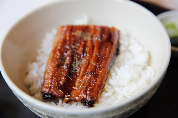 Unagi don, grillezett angolna rizs, Japán étel — Stock Fotó