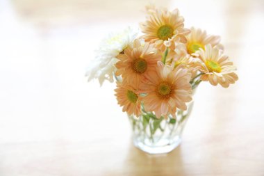 Papatya çiçek kavanoz içinde