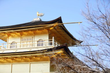 Kyoto, Japonya 'daki Kinkakuji Tapınağı (Altın Pavyon)
