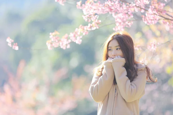 桜を咲くとの美しい若い女性の花桜の花 — ストック写真