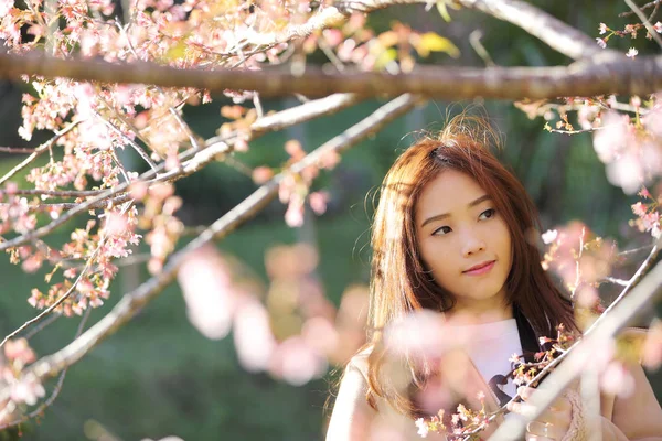 Schöne junge Frau mit blühenden Kirschblüten Sakura Flowe — Stockfoto