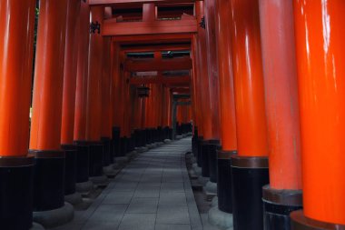 Kırmızı Tori kapıda Fushimi Inari tapınak Kyoto, Japonya