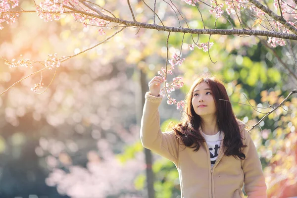 Asiatische Frau mit Kirschblüte Natur Hintergrund — Stockfoto