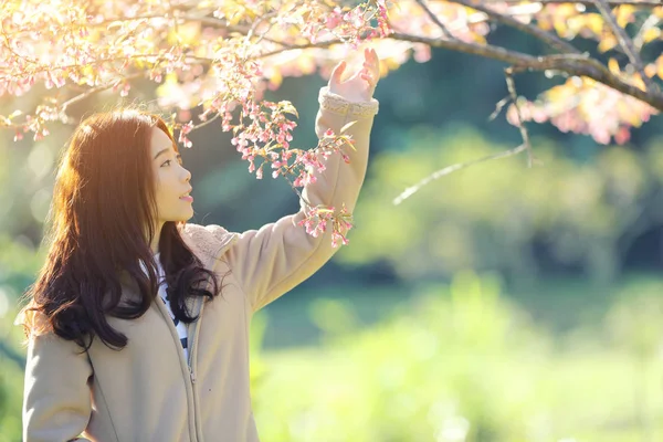 Азиатка с цветущей сакурой — стоковое фото