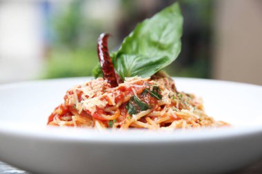 Spagetti domates sosu ve ahşap, İtalyan pa üzerinde taze fesleğen ile