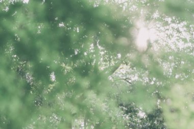 Arka plan ile güneşli parlama soyut bırakır