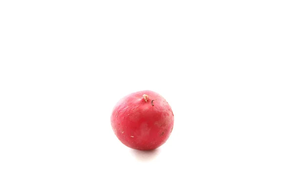 Légume radis isolé en fond blanc — Photo