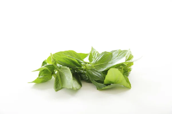 Basil herb isolated in white background — Stock Photo, Image