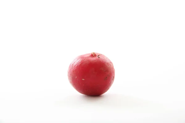 Radish vegetable isolated in white background — Stock Photo, Image