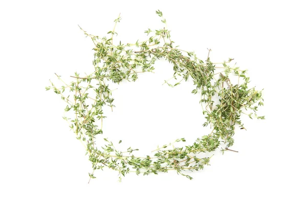 Thyme herb isolated in white background with space for text — Stock Photo, Image
