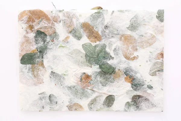 Flores a rayas sobre fondo de textura de papel morera —  Fotos de Stock