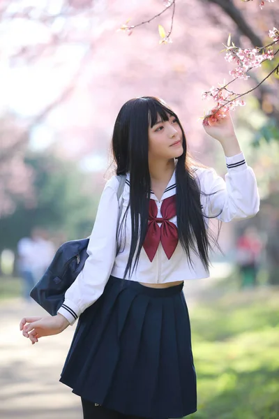 Japanese school girl dress with sakura flower nature walkway — Stock Photo, Image