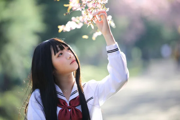Japon liseli kız elbise sakura çiçek doğa geçit ile — Stok fotoğraf
