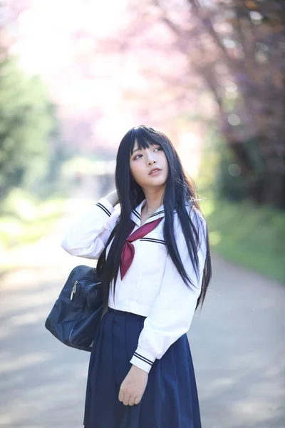 さくら花自然歩道と日本の学校の女の子のドレスします。 — ストック写真