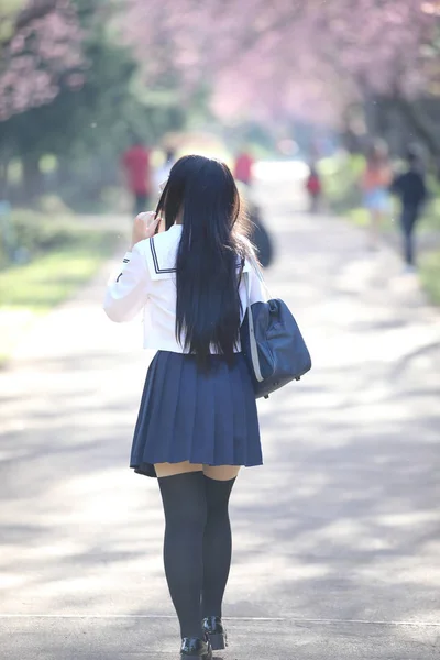 Japonés escuela chica vestido con sakura flor naturaleza pasarela —  Fotos de Stock