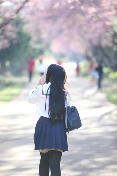 Escola japonesa menina vestido olhando sakura flor natureza passarela — Fotografia de Stock