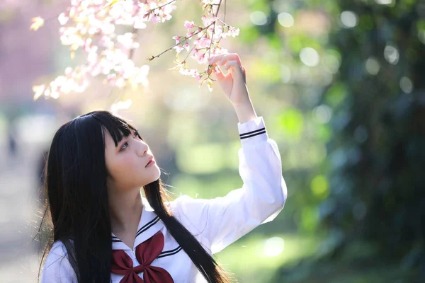 Escola japonesa menina vestido com sakura flor natureza passarela — Fotografia de Stock