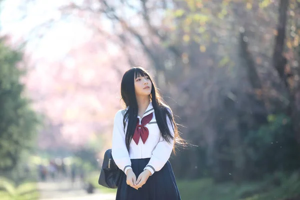 Japonés escuela chica vestido buscando sakura flor naturaleza pasarela — Foto de Stock