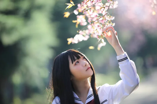 Japonés escuela chica vestido buscando sakura flor naturaleza pasarela —  Fotos de Stock