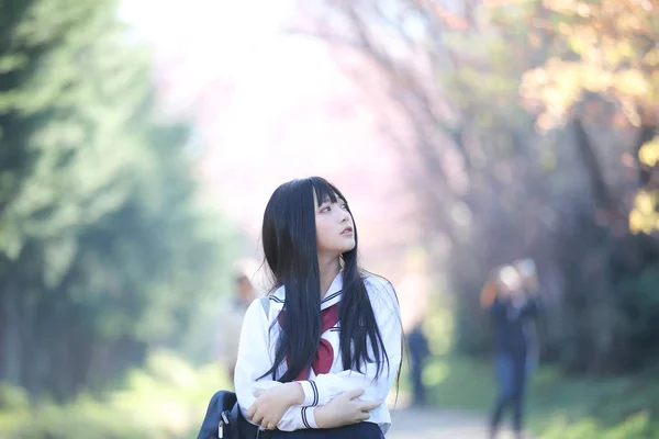 Japonskou Školačku Šaty Vypadající Sakura Flower Charakter Chodníku — Stock fotografie