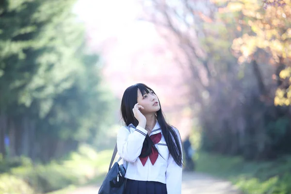 Giapponese Scuola Ragazza Vestito Cerca Sakura Fiore Natura Passerella — Foto Stock