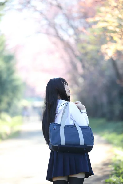 日本の学校の女の子のドレスを探してさくら花自然歩道 — ストック写真