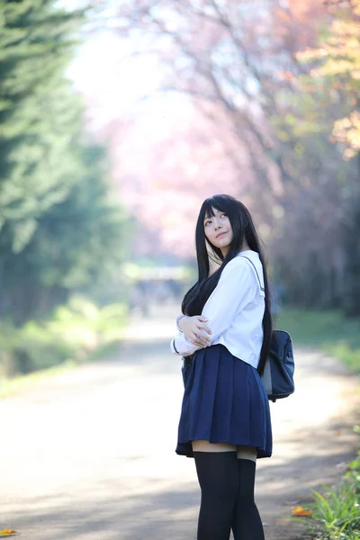 Japanisch Schule Mädchen Kleid Suchen Sakura Blume Natur Gehweg — Stockfoto