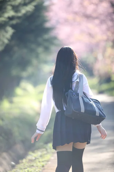 Japonés Escuela Chica Vestido Buscando Sakura Flor Naturaleza Pasarela —  Fotos de Stock