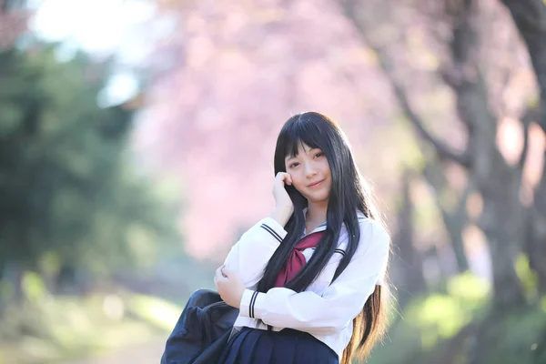 Платье Японской Школьницы Выглядит Цветок Сакуры — стоковое фото