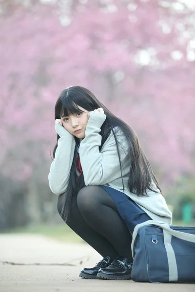 Japonés Escuela Chica Vestido Sentado Con Sakura Flor Naturaleza Pasarela —  Fotos de Stock