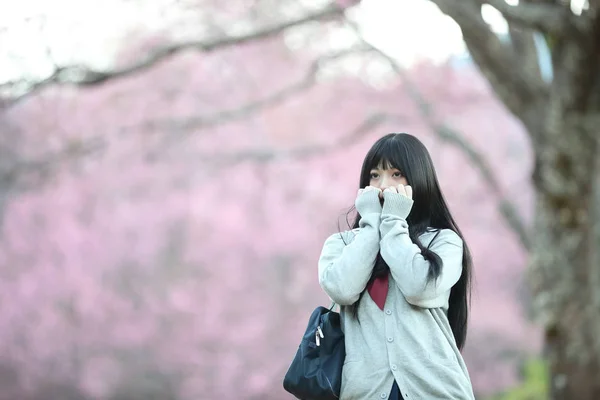 Escola Japonesa Menina Vestido Olhando Sakura Flor Natureza Passarela — Fotografia de Stock