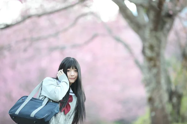 Ιαπωνικό σχολείο κορίτσι φόρεμα αναζητούν sakura λουλούδι φύση διάβαση πεζών — Φωτογραφία Αρχείου