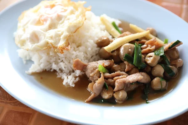 Stir Fried Oyster Sauce with pork and rice with Fried Egg on top — Stock Photo, Image