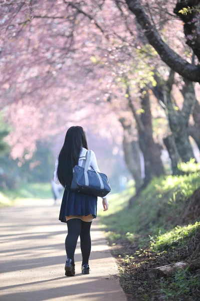 Japanse school meisjeskleding uitziende sakura bloem natuur loopbrug — Stockfoto