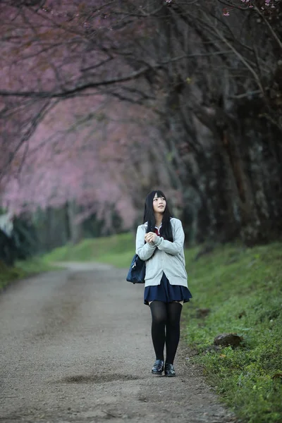 Japonés escuela chica vestido buscando sakura flor naturaleza pasarela —  Fotos de Stock