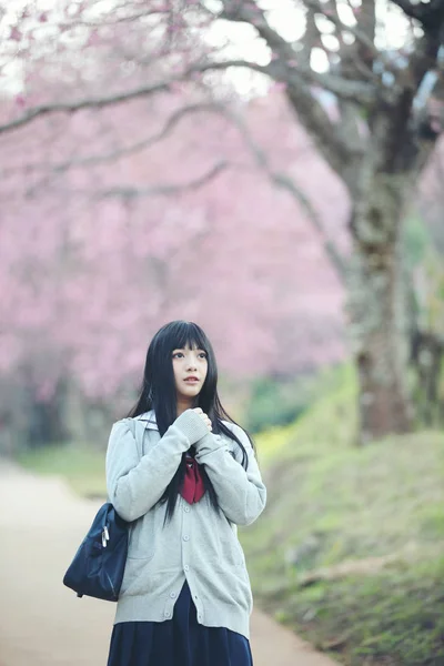 Japonés escuela chica vestido buscando sakura flor naturaleza pasarela —  Fotos de Stock