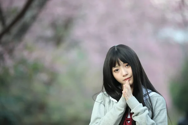 Japán iskola lány ruha látszó sakura virág természet sétány — Stock Fotó