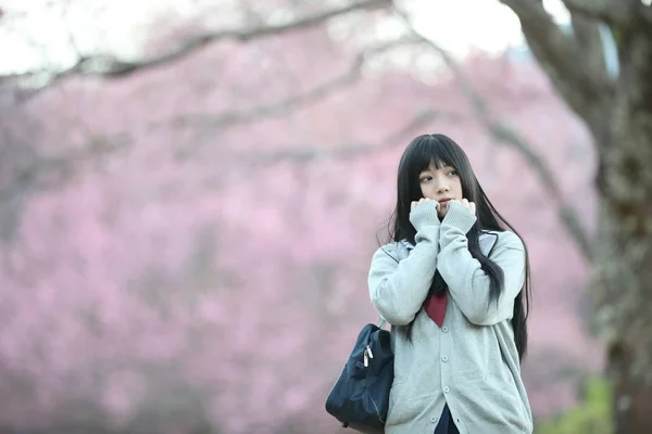 Japonés escuela chica vestido buscando sakura flor naturaleza pasarela — Foto de Stock