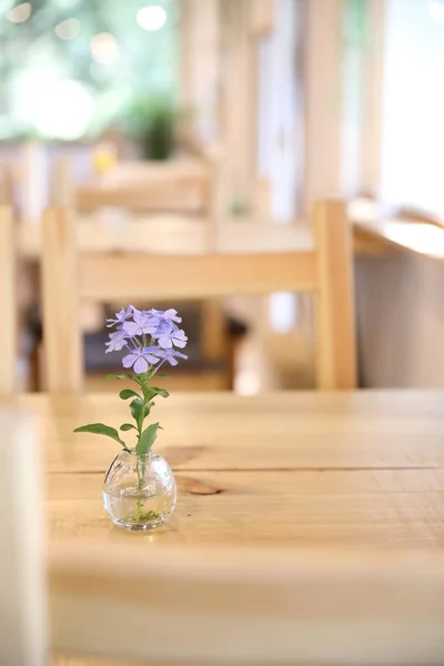 Flora púrpura en tarro sobre fondo de madera en el restaurante japonés restuarant. — Foto de Stock