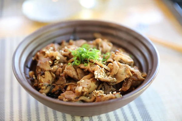 Gyudon , Japanese beef rice bowl in close up Japanese local food — Stock Photo, Image