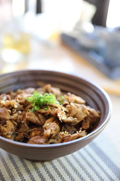 Gyudon, el recipiente japonés de arroz de carne de vacuno en el cierre de la comida local japonesa. —  Fotos de Stock