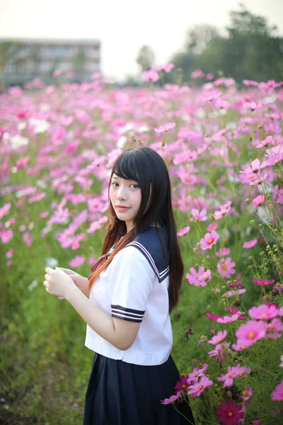 Pembe kozmos çiçekli Japon kız üniformasının portresi. — Stok fotoğraf