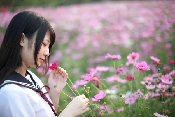 Retrato Japonês Escola Menina Uniforme Com Rosa Cosmos Flor — Fotografia de Stock