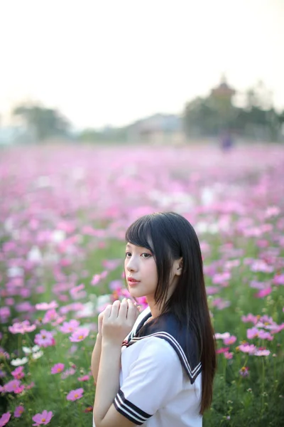 Porträtt Japansk Skolflicka Uniform Med Rosa Kosmos Blomma — Stockfoto