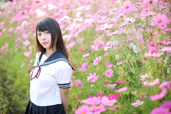 Портрет Японської Школи Рожевою Квіткою Космосу — стокове фото