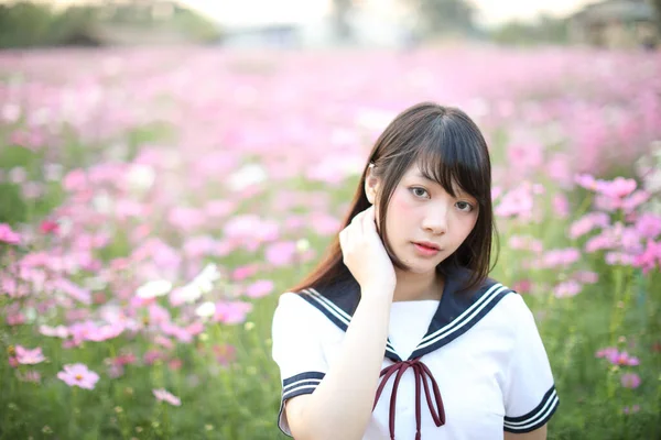 Portret Van Japans Schoolmeisje Uniform Met Roze Kosmos Bloem — Stockfoto