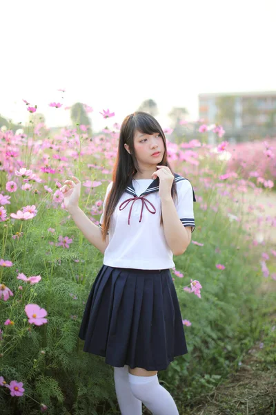 Портрет Японської Школи Рожевою Квіткою Космосу — стокове фото