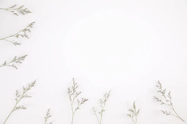 Caspia Flor Pequeña Flor Púrpura Planta Aislada Fondo Blanco Vista —  Fotos de Stock